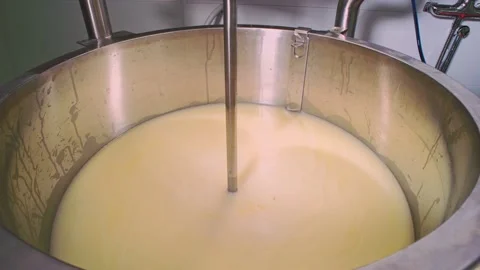 Kneading fat milk into cheese in cheese making. Mechanized system for the produc Stock Footage 227291420