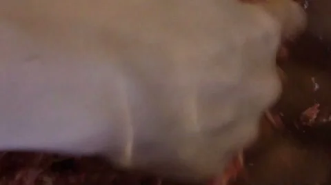 Kneading minced meat Stock Footage 46743422