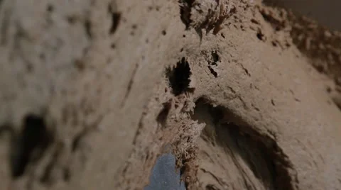 Kneathing Bread Dough Close Up Tracking Left Stock Footage 68506811