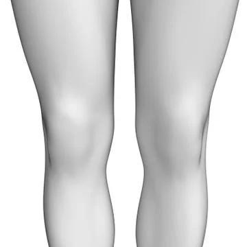 Knee anatomy artwork Stock Illustration