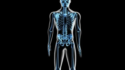 Knee Anatomy Labeled Video stock 112579558