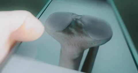 Knee anatomy study on smartphone app Stock Footage 313839305