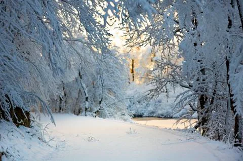 Knee-deep snow on the road Stock Photos
