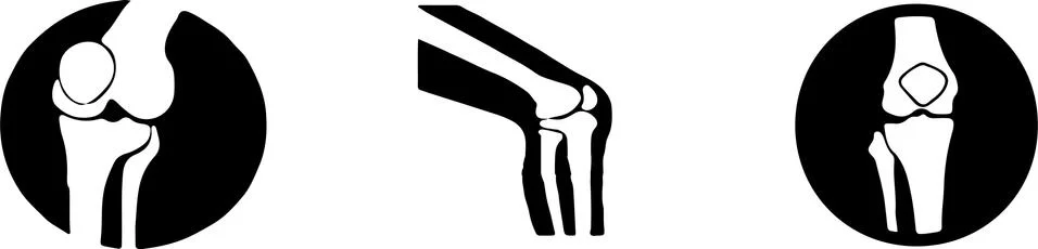 Knee icon on white background Illustrazione stock