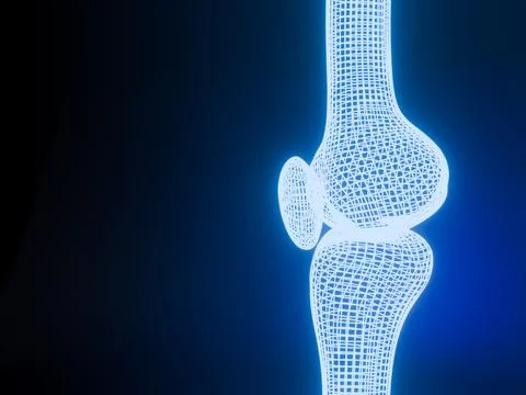 Knee joint  3D rendering  Blue glowing  wireframe  on black background with.. Stock Illustration