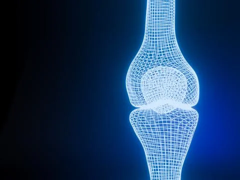 Knee joint  3D rendering  Blue glowing  wireframe  on black background with.. Stock-Illustration