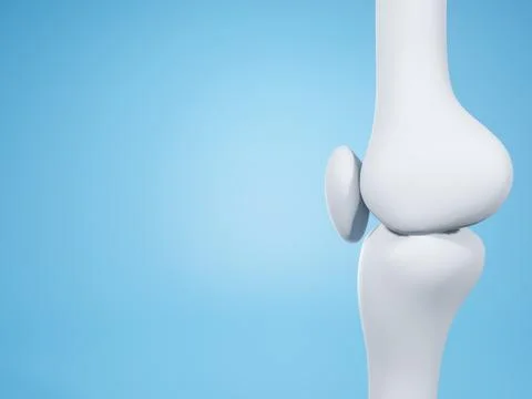 Knee joint  on blue background with copy space for text. Bone human skeleto.. Stock-Illustration