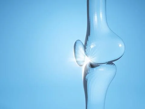 Knee joint  on blue background with copy space for text. Bone human skeleto.. Illustrazione stock