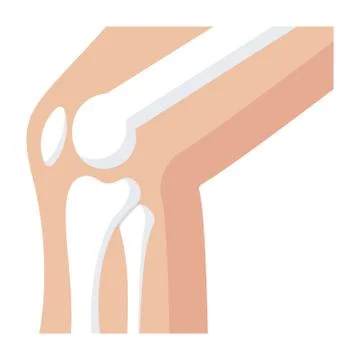 Knee Joint Bones Stock Illustration