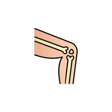 Knee, leg, bone color gradient vector icon Stock Illustration