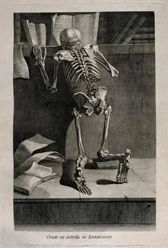 A kneeling skeleton, seen from behind, reading a book on a shelf. Etching b.. Stock Illustration
