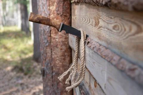 Knife and rope. Stock Photos