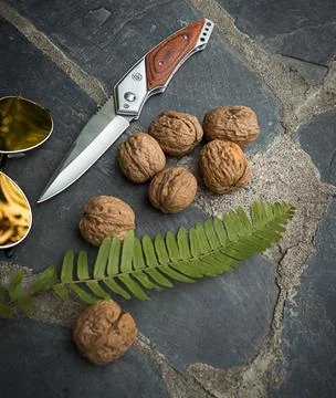 Knife and walnuts Stock Photos