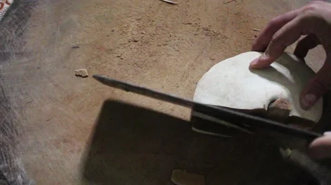 Knife to chip Ganoderma 스톡 동영상 64578394