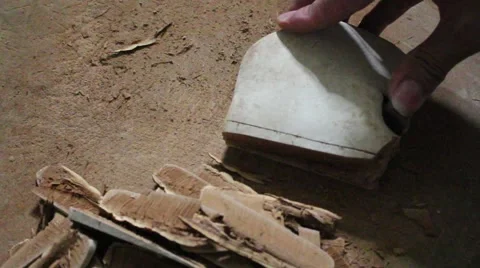 Knife to chip Ganoderma 스톡 동영상 64578480