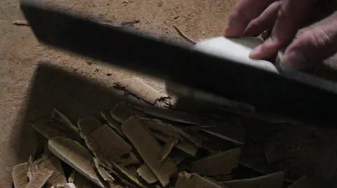 Knife to chip Ganoderma 스톡 동영상 64578593