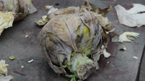 A knife chops a cabbage Stock Footage 36838156