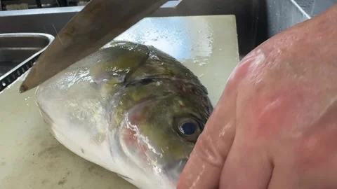 Knife Cuts off the Head of a White Trevally (Shima Aji), Japanese Food Stock Footage 345057213