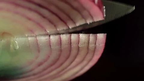 Knife cuts onion bottom view close-up Stock Footage