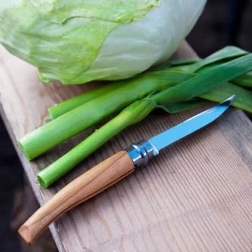 Knife for cutting vegetables Stock Photos