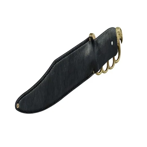 Knife dagger in sheath with gold handle Stock Footage 69549842