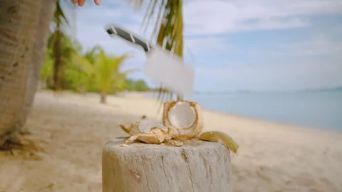Knife Falling in Slow Motion and Sticking into Wooden Surface with Open Coconut Stock Footage 317731470