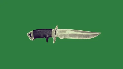 A knife on green screen and black white dog background design figure Stock Footage 337336197