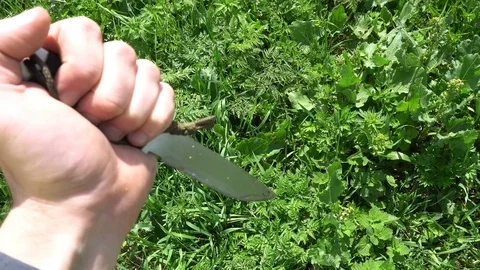 Knife in hand on background of green grass Stock Footage 76196251