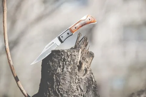 Knife on the log Stock Photos