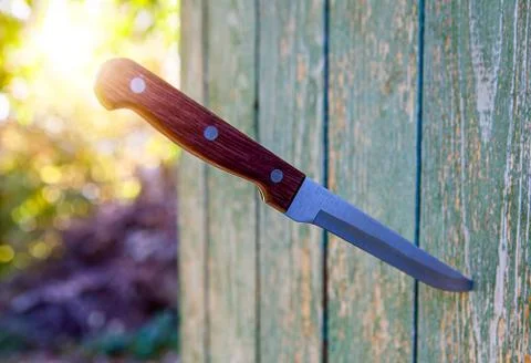 Knife in the Plank 写真素材