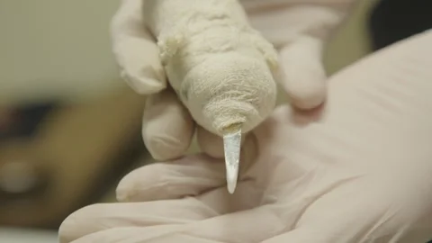 Knife prison selfmade Stock Footage 245149525