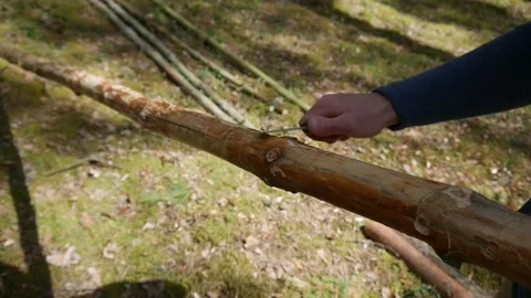 Knife processing of poles from the bark 스톡 동영상 219431290
