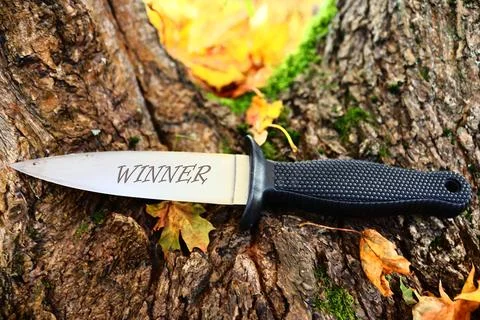 A knife resting on top of a tree trunk, potentially used for hunting or Stock Photos