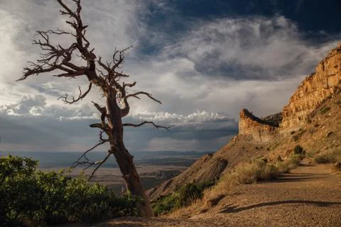 KNIFE RIDGE Stock Photos