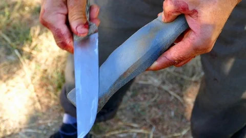 Knife sharpening to cut the meat, Stock Footage 101353867