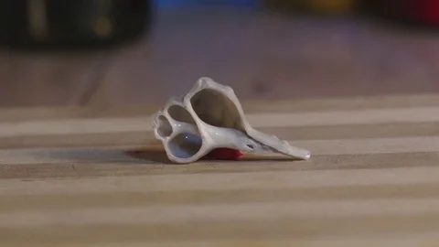 Knife Slices Through Seashell Illusion Stock Footage 75660140