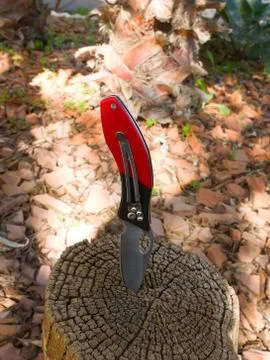 Knife stuck in a stump Stock Photos