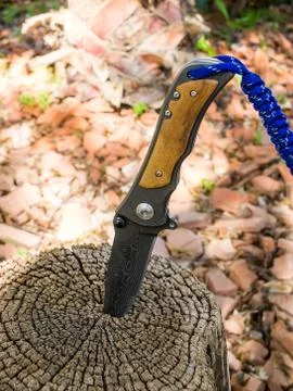 Knife stuck in a stump Stock Photos