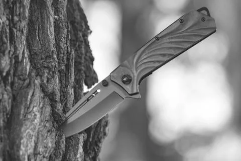 Knife stuck in the tree trunk Stock-Fotos
