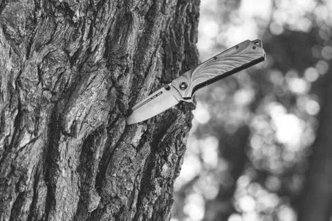Knife stuck in the tree trunk Stock Photos