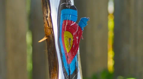 Knife Throwing Stock Footage 54713194