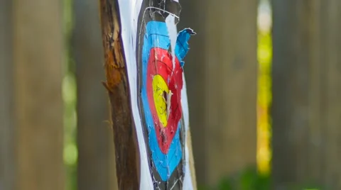 Knife Throwing Stock Footage 54713240