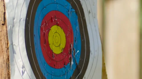 Knife Throwing Stock Footage 54713256