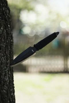 Knife Throwing In The Tree Stock Photos