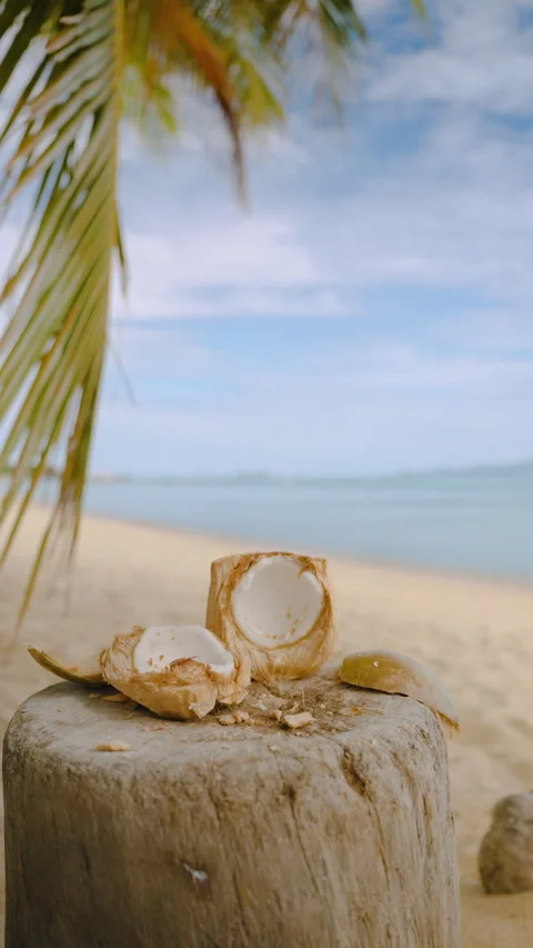 Knife Thrown in Slow Motion Toward Wooden Log with Broken Coconut on Tropical Stock Footage 317732787