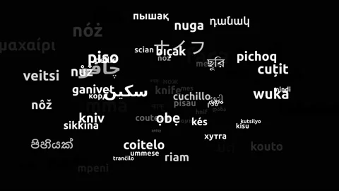 Knife Translated in 69 Worldwide Languages Endless Looping 3d Zooming Wordclo Video stock 145231450