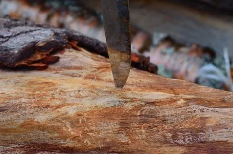 Knife in tree log Foto stock