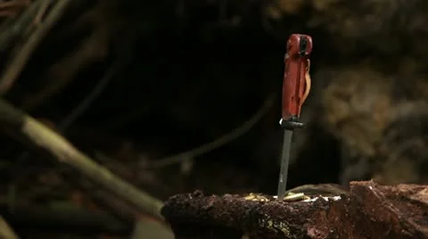 Knife in tree trunk 02 Stock Footage 22365284