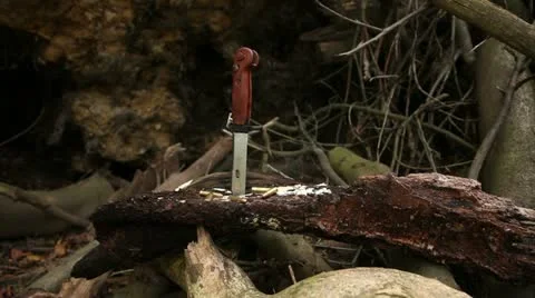 Knife in tree trunk with bullets 01 Stock Footage 22365540