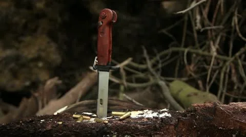 Knife in tree trunk with bullets 02 Stock Footage 22365637